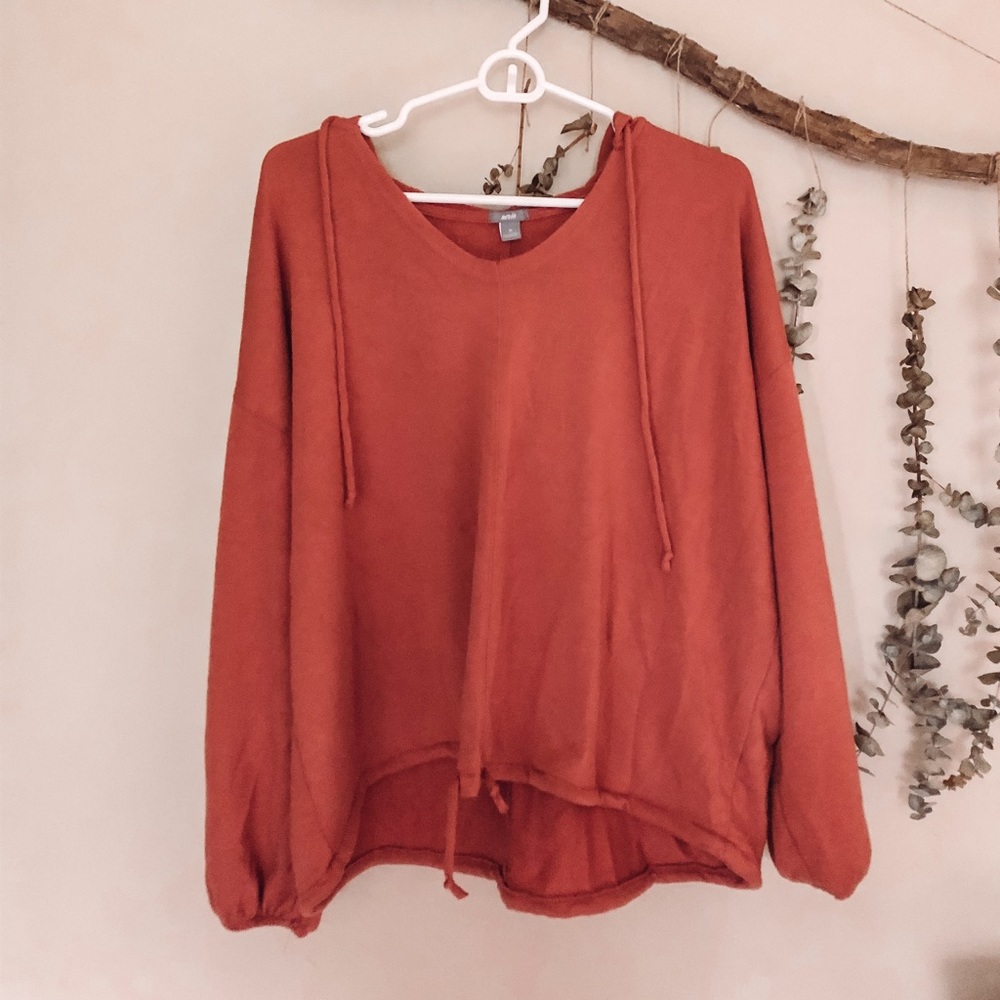 Aerie Hooded Swestshirt